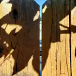 Grape Leaf Shadow On Gate With Car